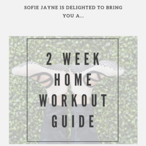 2 week home workout